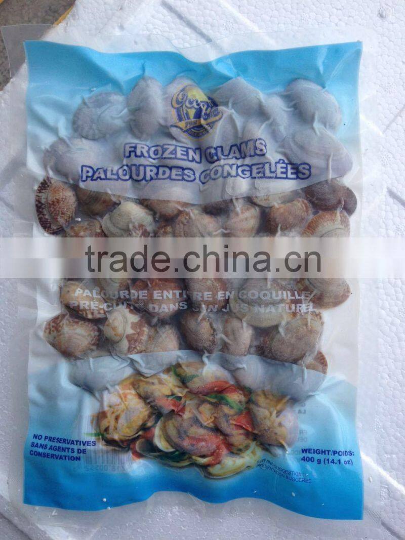 frozen whole clam