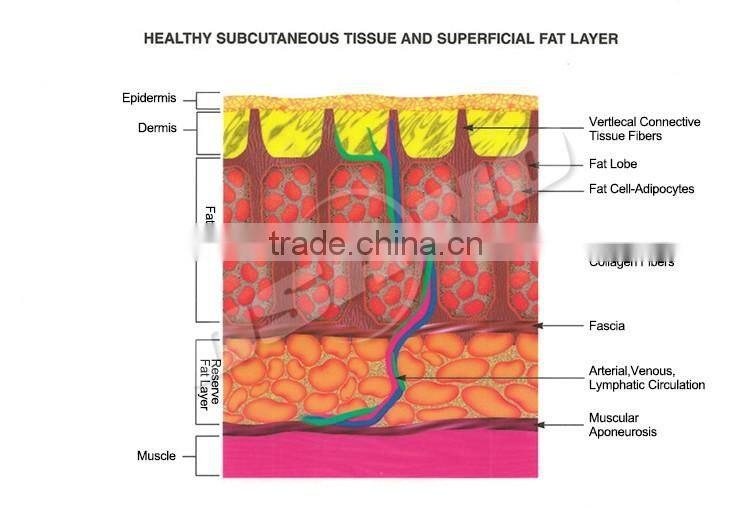 Amazing new release !!!RF facial care rf beauty machine portable