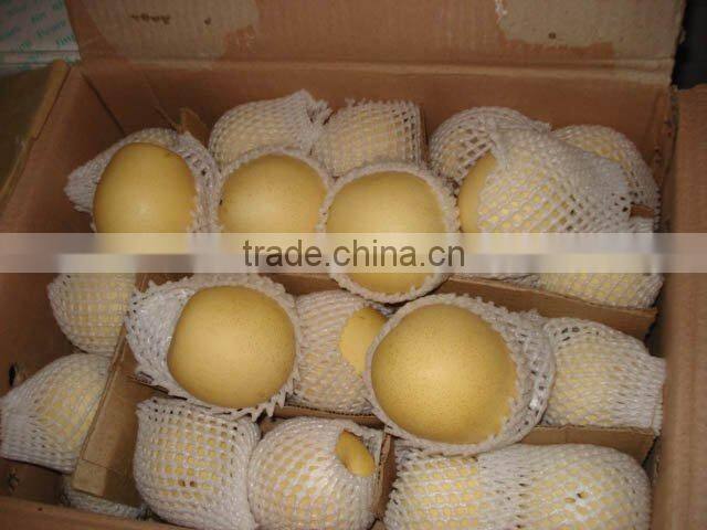 Huangguan Pear/ Crown pear / Golden pear