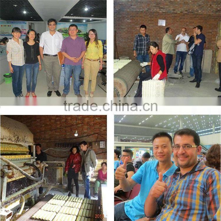 China machines making egg tray cartons