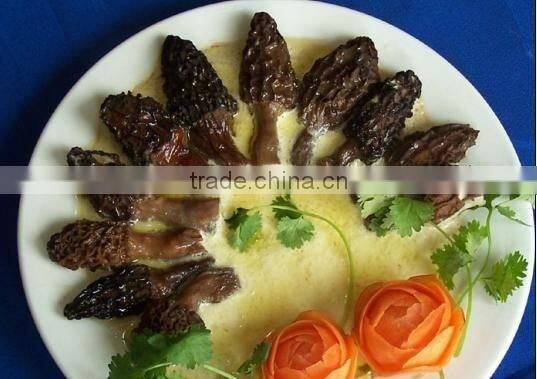 Dried Wild Morchella Conica