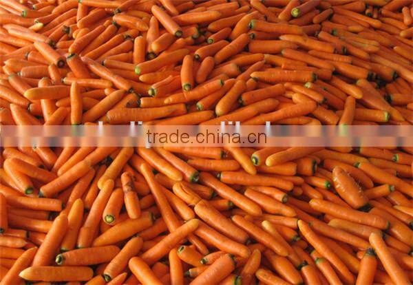 continuous screw taro washing peeling machine 0086-15037185761