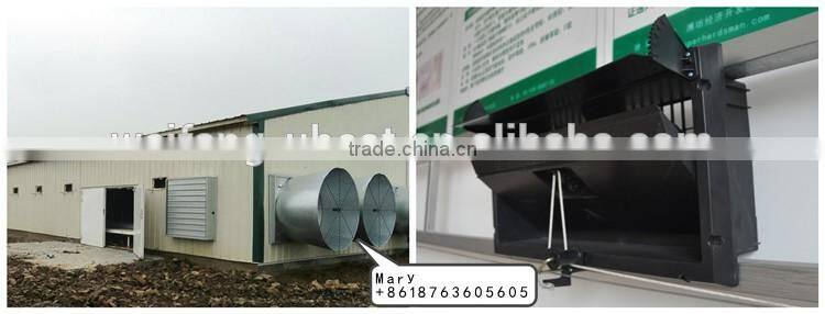 Automatic chicken feeding equipment for broilers