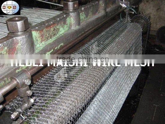 2-1/2" hot dipped galvanized hexagonal wire netting 2-1/2 inch 40mm*40mm