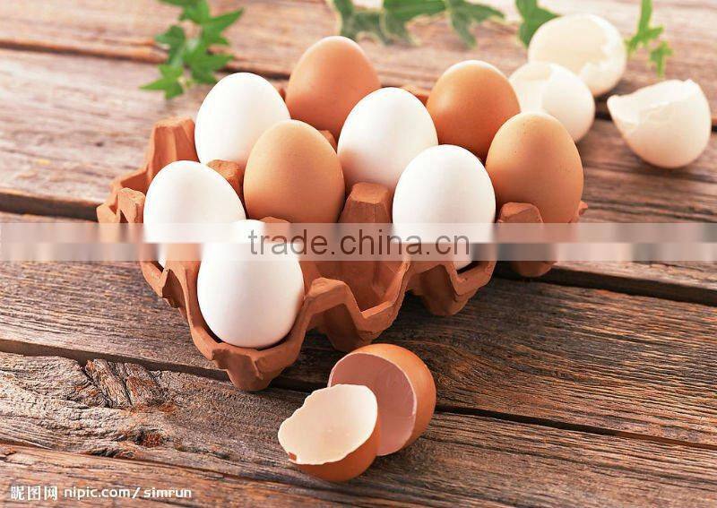 Electric Stand Stirrer with 2.5L big bowl