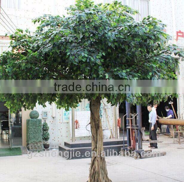 artificial Polyscias trees PE leaves fake tree for sale