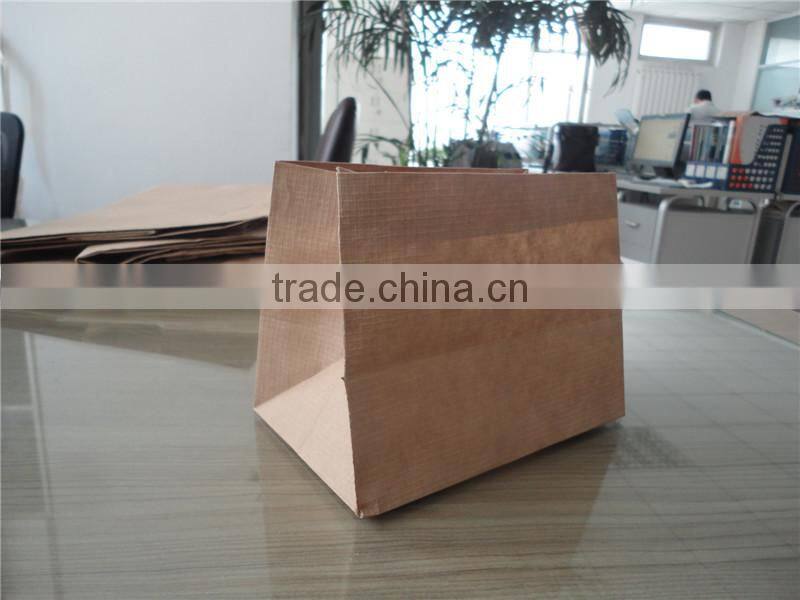heavy weight kraft paper bag / take out paper bags / Tyvek paper Carry Bag