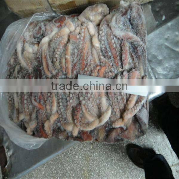 best sea frozen octopus vulgaris