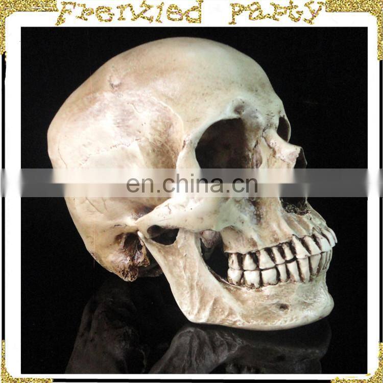 New arrival simulation halloween decorative skull FGHS-0005