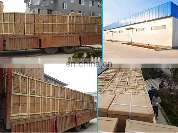 2017 Hot sale automatic commercial gas or electric deep fryer machine