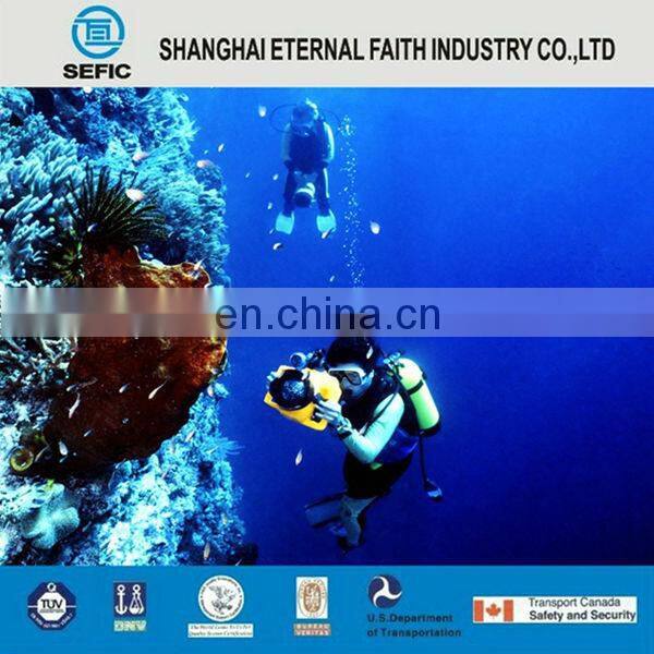 Europe Market 12L Aluminum Scuba Tank with DIN/York Valve