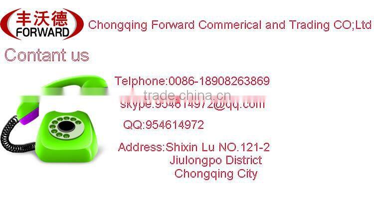 New product 60V 1000W electric vehicle for adult and children