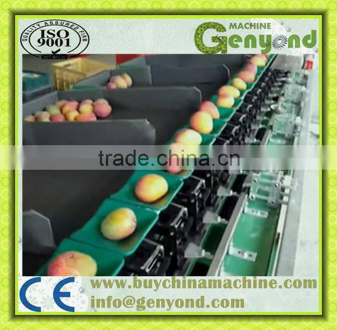stainless steel small fruit weight sizing machine