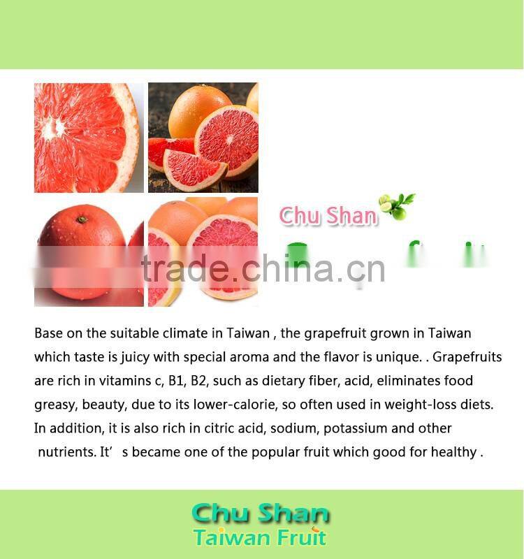 Grade A fresh Grapefruit