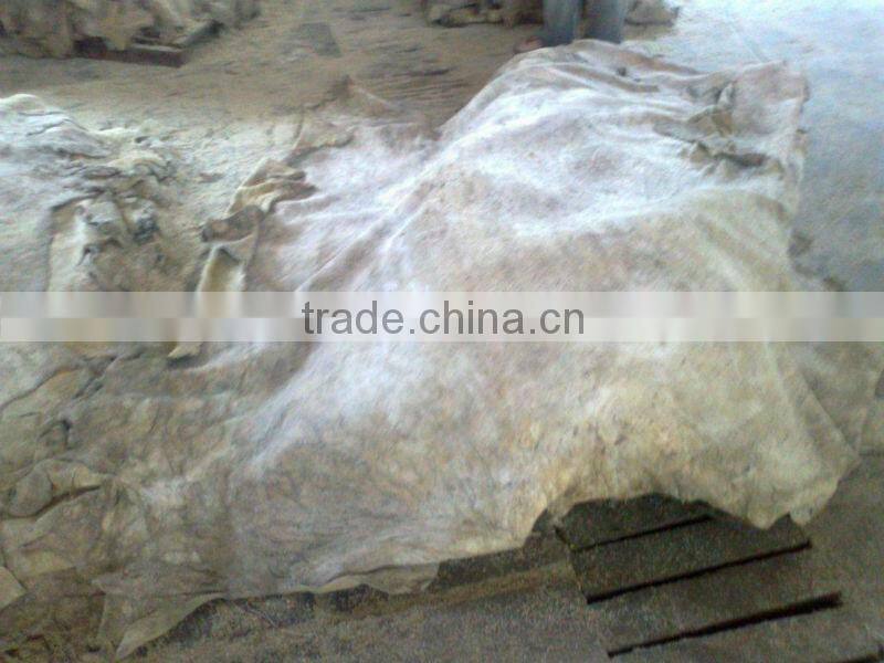 WET SALTED COW HIDE