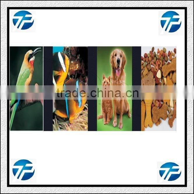 Pet Food Product Line for Dog|Cat|pet animals