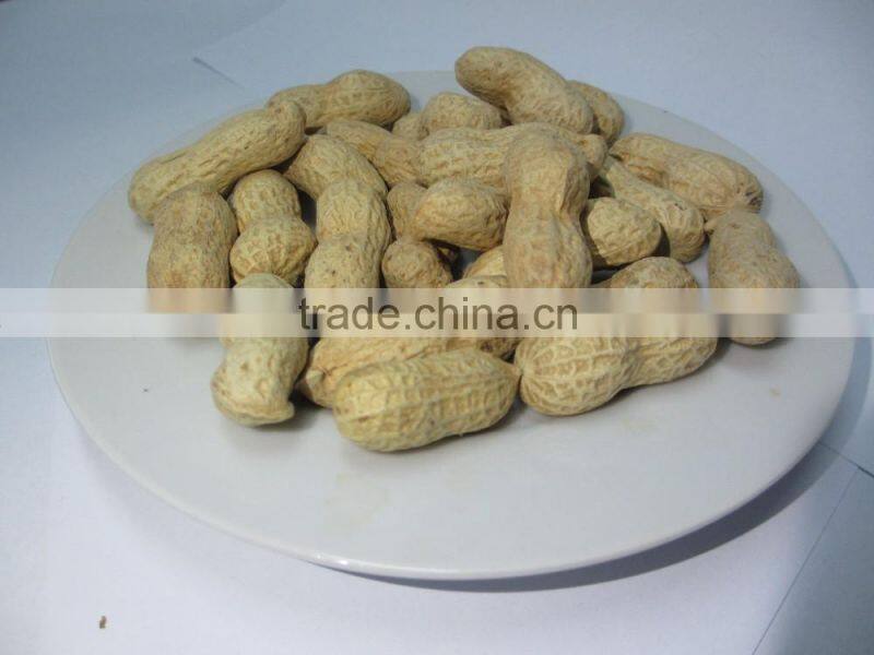 groundnut blanched peanuts from chinese plant