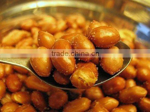 Chinese Peanut kernels Haihua type