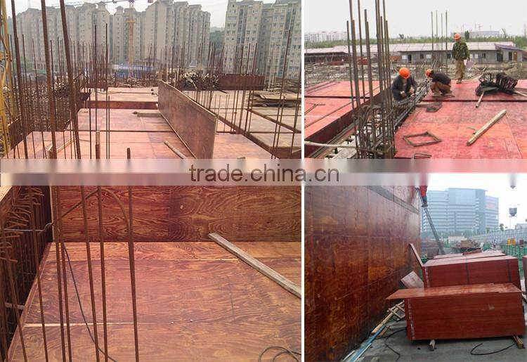 Competitive Prices for 18mm Construction Plywood