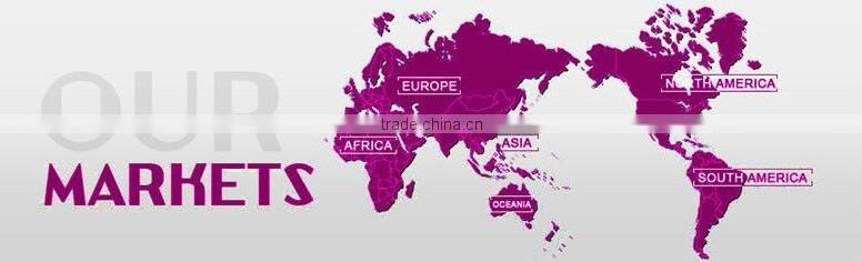 PVC Vinyl Lingerie,Polo Bodysuit,Brand Women's Tops