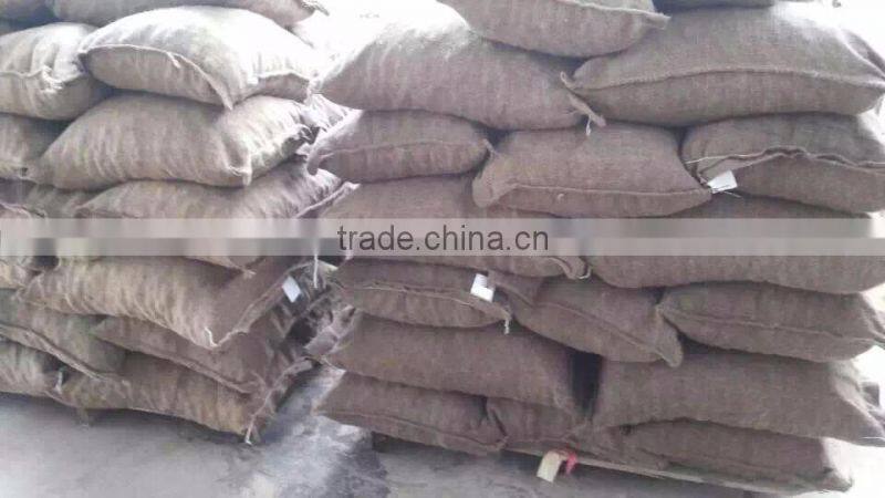 Sweet Chestnut , organic / common