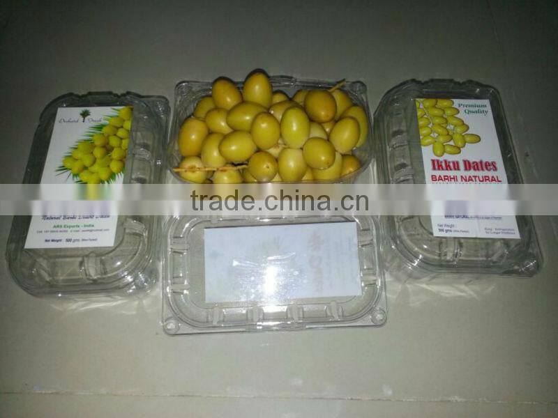 Palm Dates from India