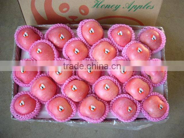 Fresh Grade A Gold apples / CLASS 1 HOT SALES