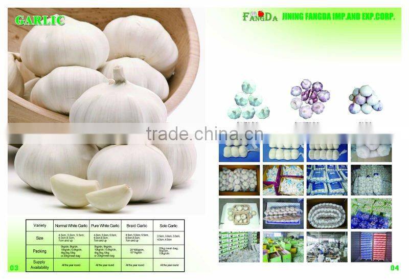 Chinese Best Garlic