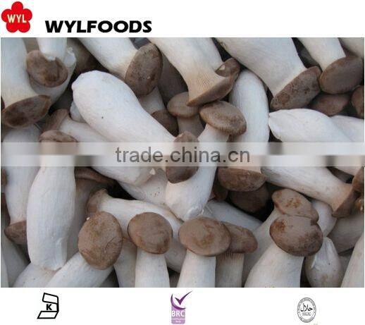 Top quality Frozen seaweed salad 2015