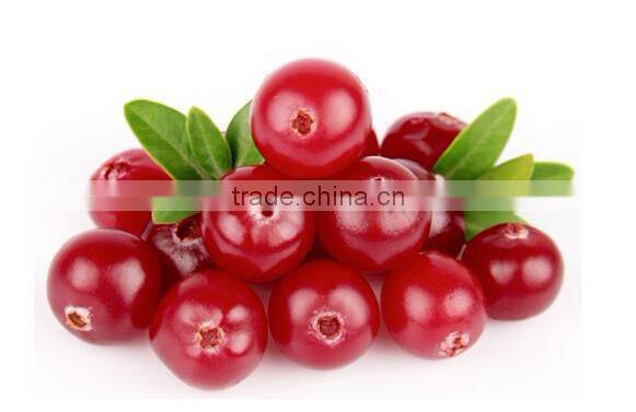 Bilberry Extract Vaccinium myrtillus extract powder with Anthocyanidin 25% by UV test method