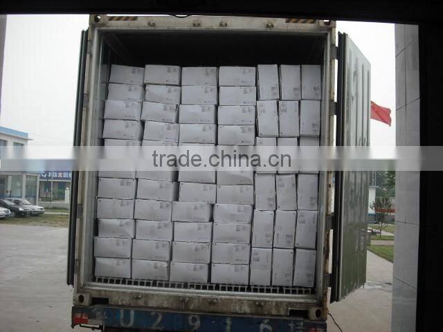 Frozen mushroom champignon whole/sliced top quality