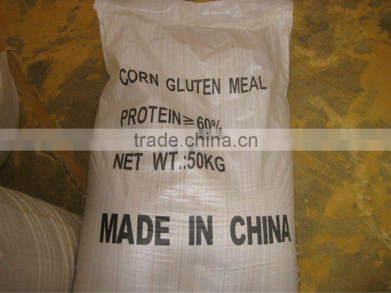 hot sale corn gluten meal with good quality