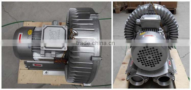 IP55 50 Hz electric air pump and wind pump for Biogas conveying equipment