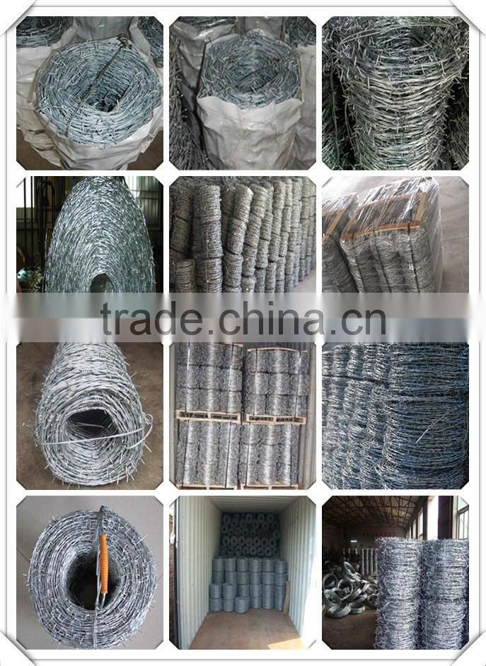 hot sale galvanized barbed wire / double twist barbed wire / 14 guage galvanized barbed wire