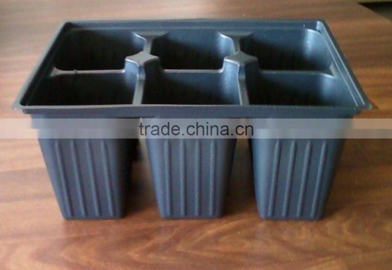 Growing Vegetable Transplants in Plug Seed Nursery Trays 8 Cell