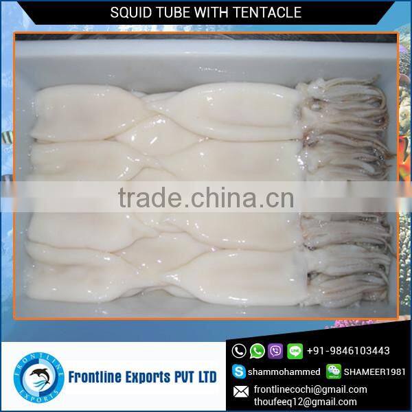 100% Best Quality Frozen Tentacle Frozen Squid Tube