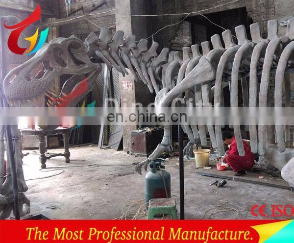 full size high realistic museum quality dinosaur skeleton