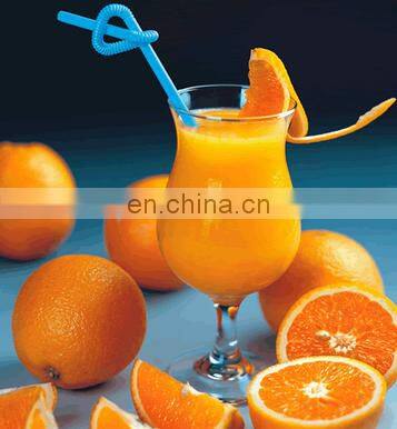Industrial fruit and vegetable juicer machine for citrus apple pear orange garlic ginger juicer extractor machine