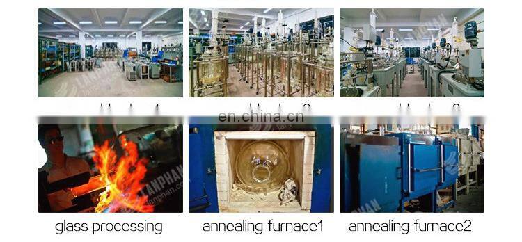 10L 20L Agitator Reactor Tank glass lab reactor vessel