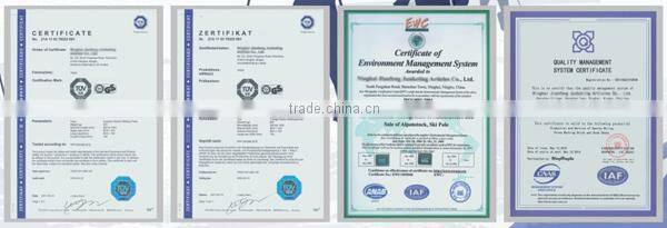 snow shoes/snow walking shoe/cheap snow shoesfor winter ski outdoor