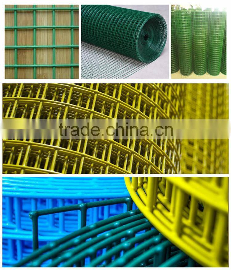 Hebei Shuolong supply 0.9mx30m 19 Gauge Green PVC coated welded wire mesh roll for UK Supermarket
