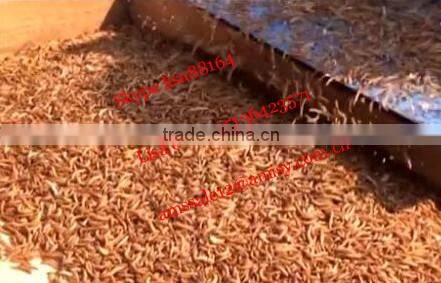 500~600KG/H Automatic Tenebrio-moliter Separator