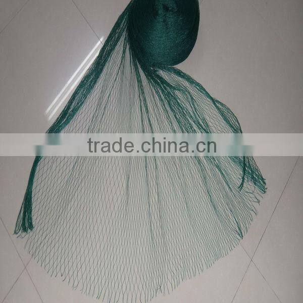2016 export to european market 100% new hdpe anti bird net