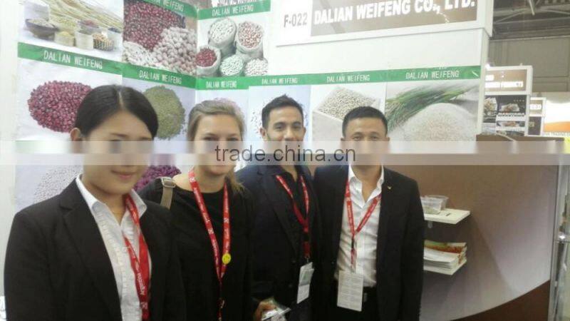 New crop Chinese sunflower seed kernel for export
