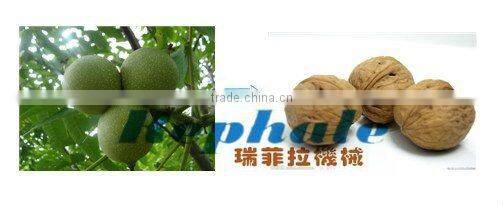 Big model fresh walnut husk peeling machine