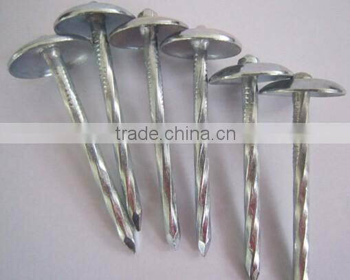 china umbrella head roofing nailsdirect from factory