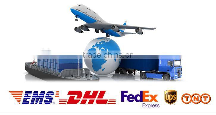 2016 Hot Brand UAV Professional Glint drone in China