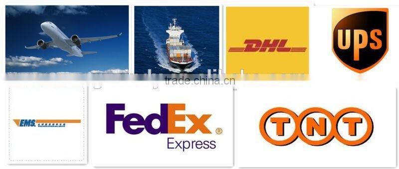 12Pcs Set Professional Makeup Brush Set Foundation Eye Face Shadows Lipsticks Powder Make Up Brushes Kit Tools + Bag