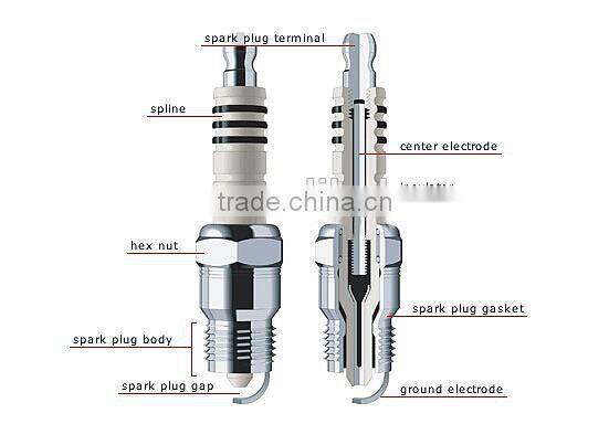 Professional decade plug cap NGK Spark Plug standard wholesale choice