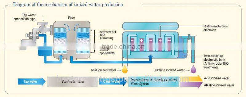 Water Ionizer with Dual Filtering System